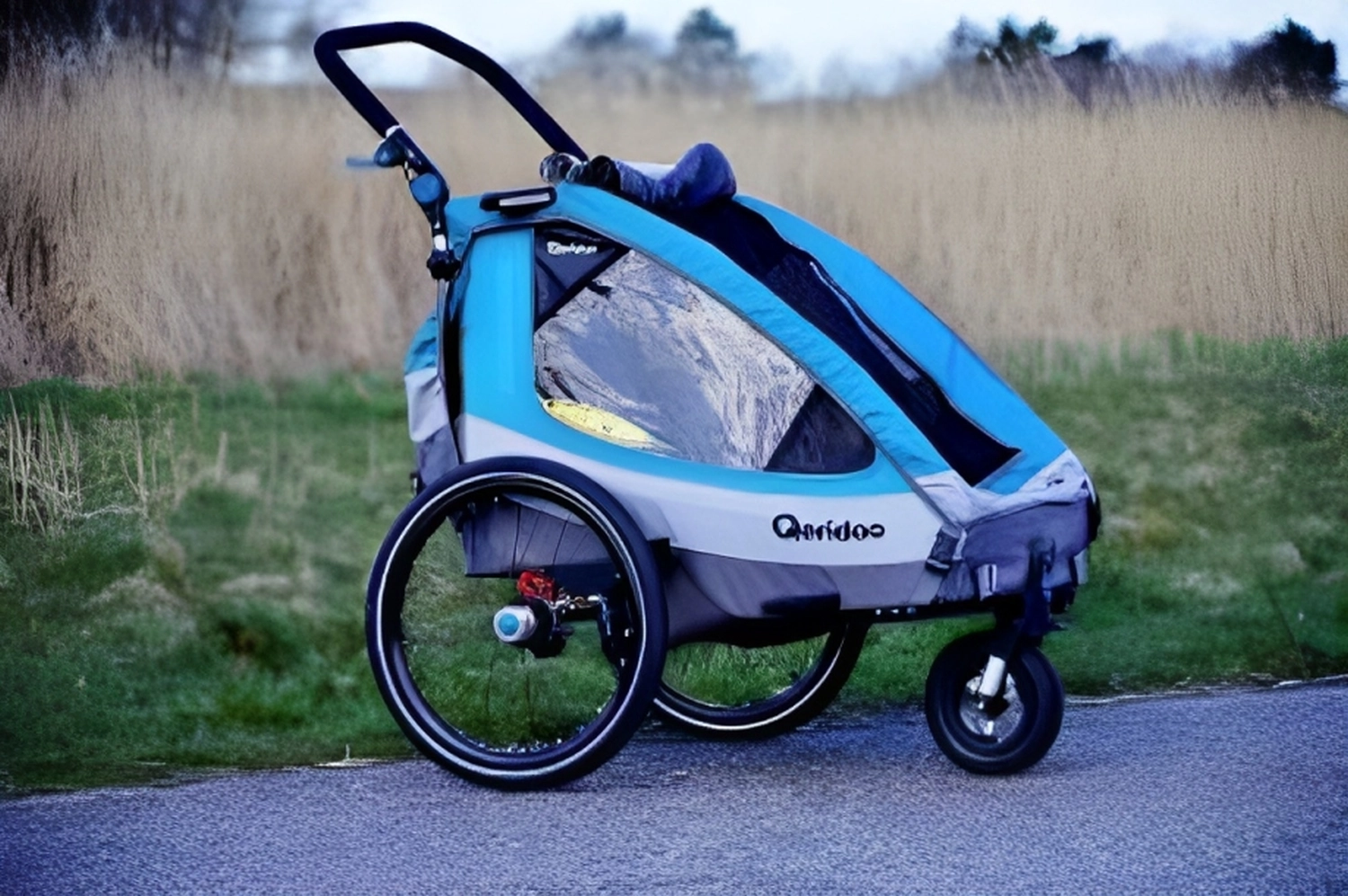 Anhänger mit Buggyfunktion Fahrradverleih Besteller Plüschbrummer