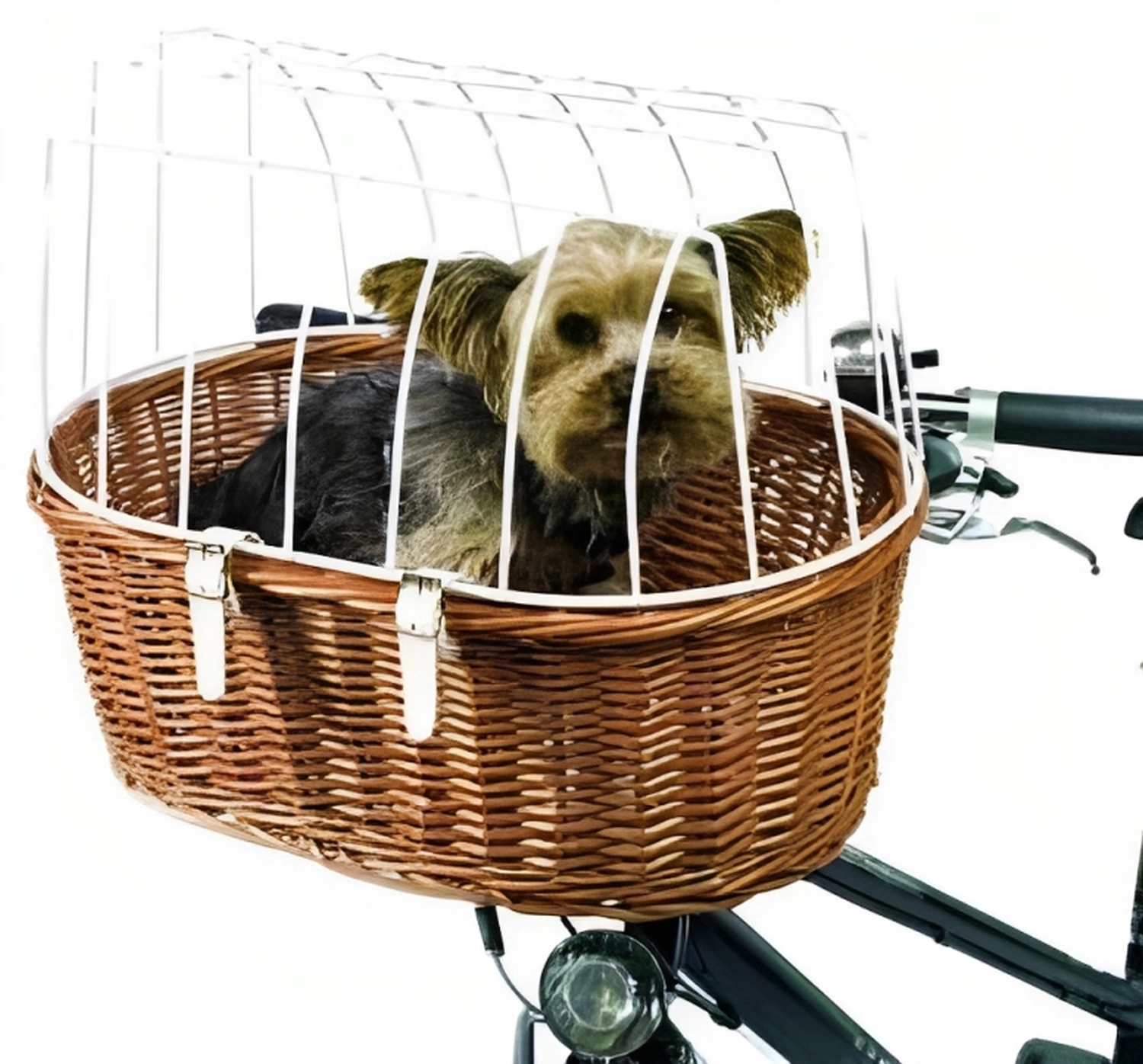 Hundekorb  Fahrradverleih Ordinger Plüschbrummer